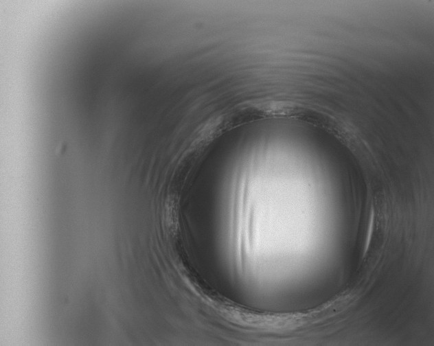 X0000080100044200612221750