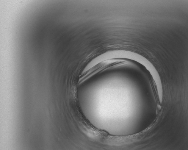 X0000080100045200612221750