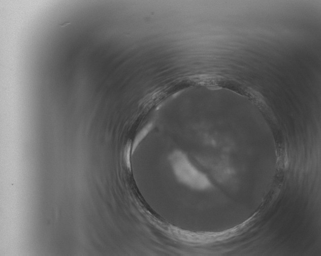 X0000080100047200612221750