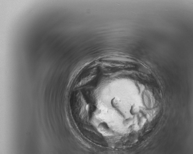 X0000080100049200612221749