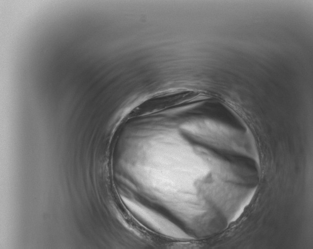 X0000080100050200612221749