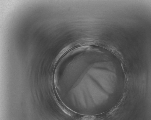 X0000080100051200612221749