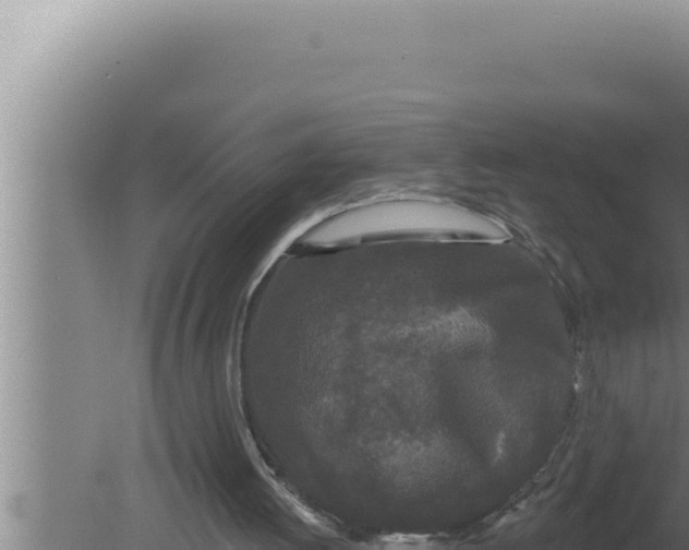 X0000080100052200612221749