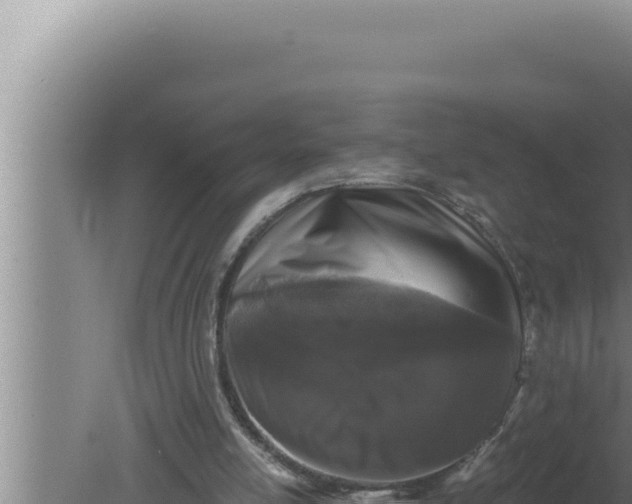 X0000080100054200612221749