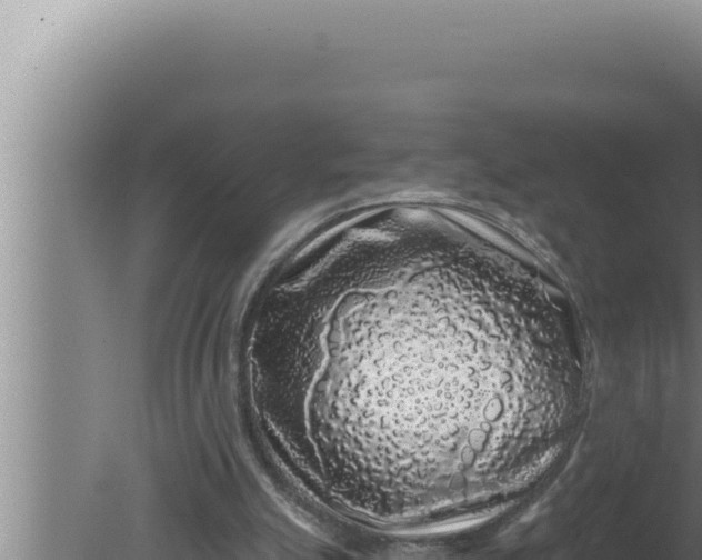 X0000080100055200612221749