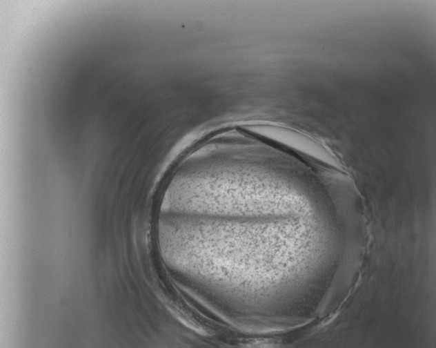 X0000080100056200612221749