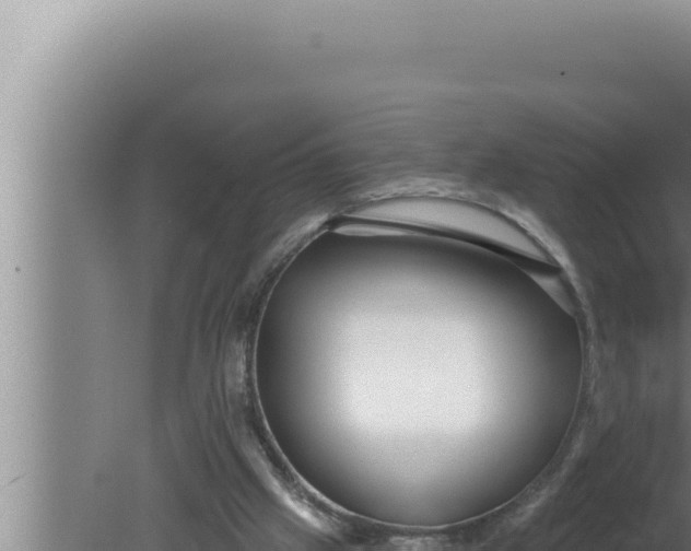 X0000080100057200612221749