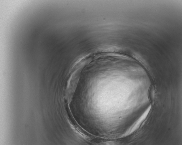 X0000080100058200612221749