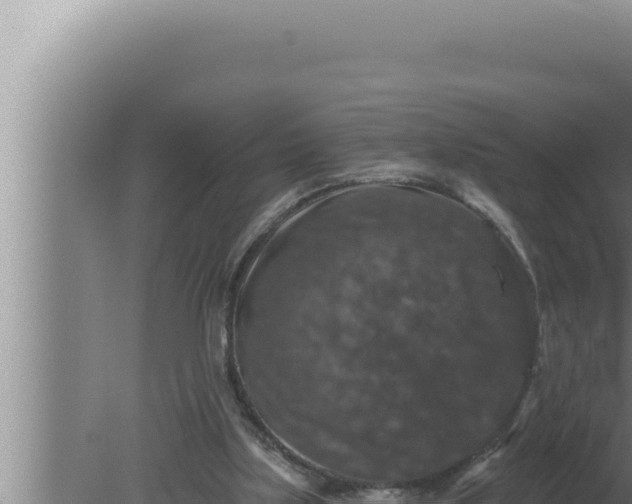 X0000080100059200612221749