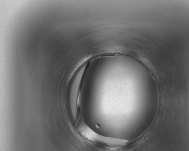 X0000080100060200612221749