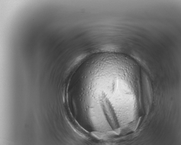 X0000080100062200612221749