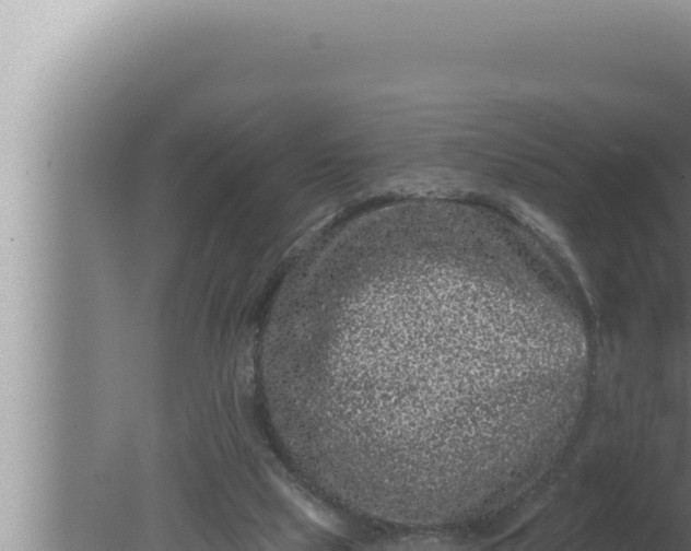 X0000080100065200612221749