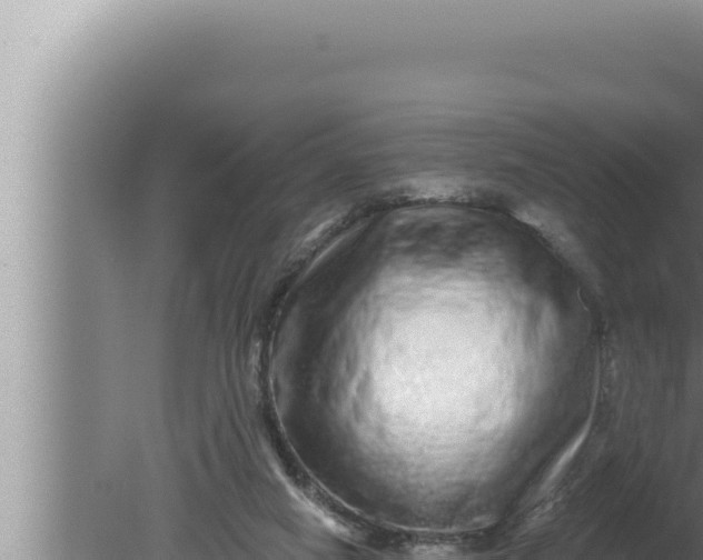 X0000080100066200612221749