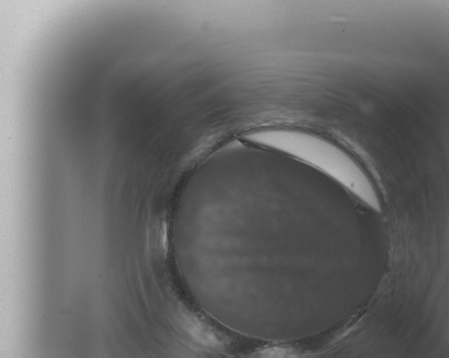 X0000080100067200612221749