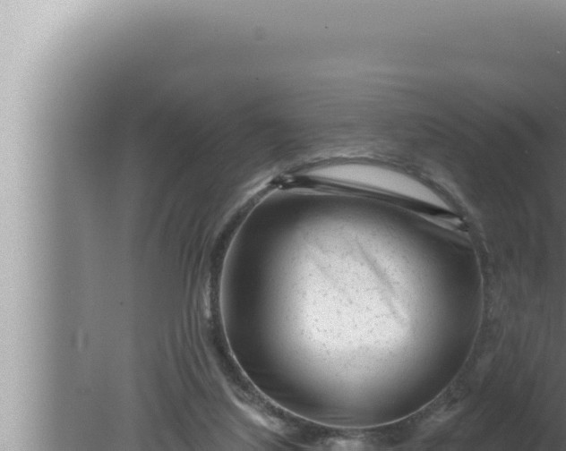 X0000080100068200612221749