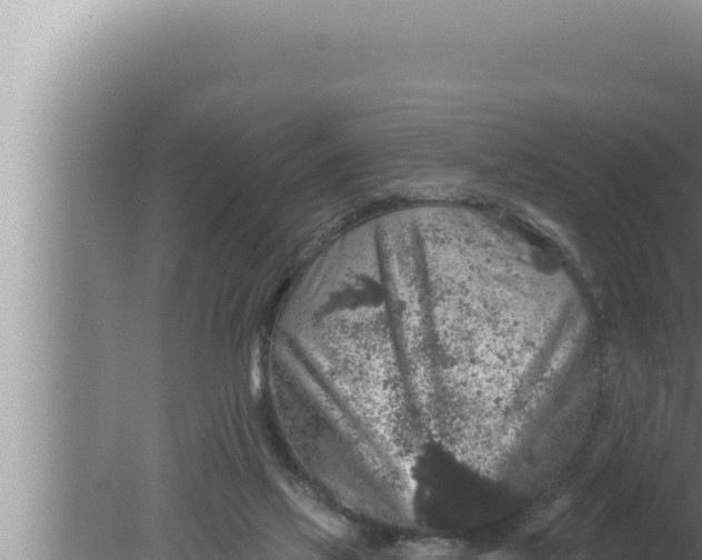 X0000080100069200612221749