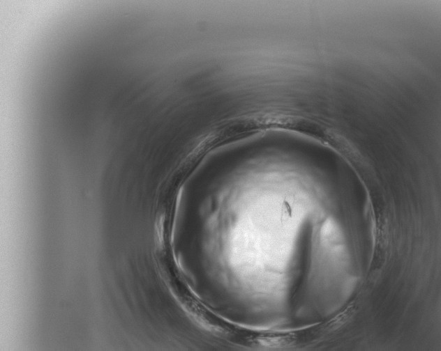 X0000080100070200612221749