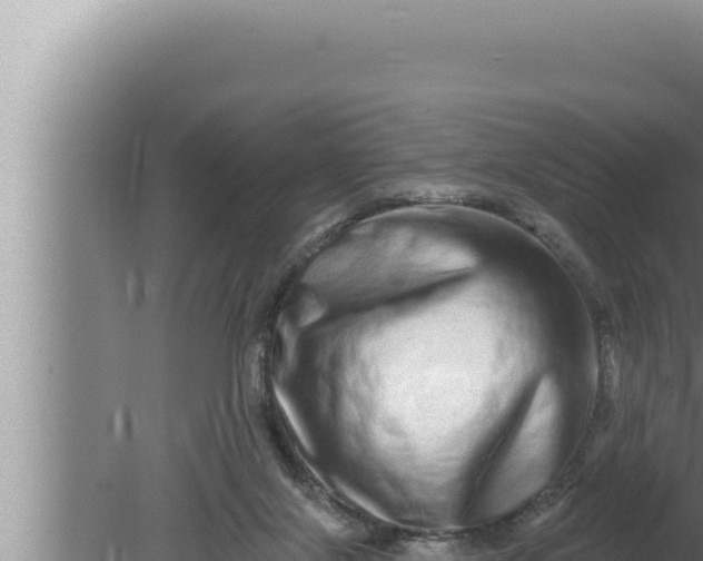 X0000080100071200612221749