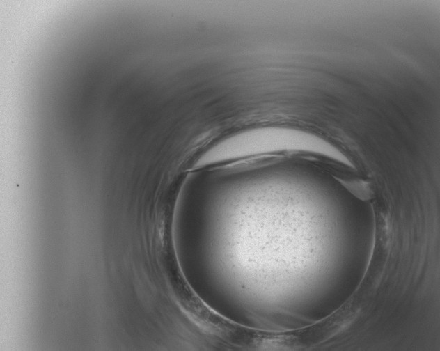 X0000080100072200612221749