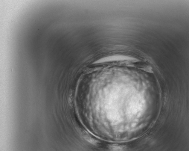 X0000080100073200612221749