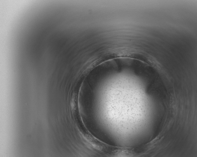 X0000080100074200612221749