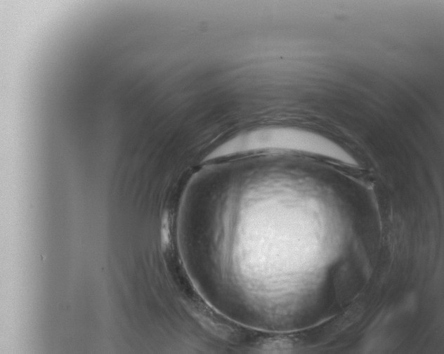 X0000080100075200612221749