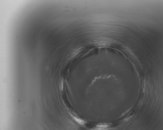 X0000080100076200612221750