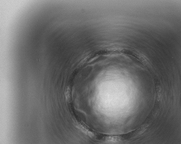 X0000080100077200612221750