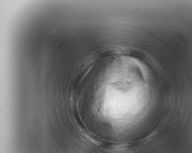 X0000080100078200612221750