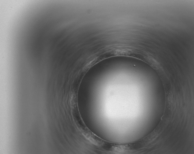 X0000080100079200612221750