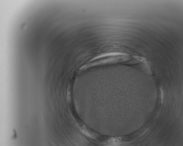 X0000080100080200612221750