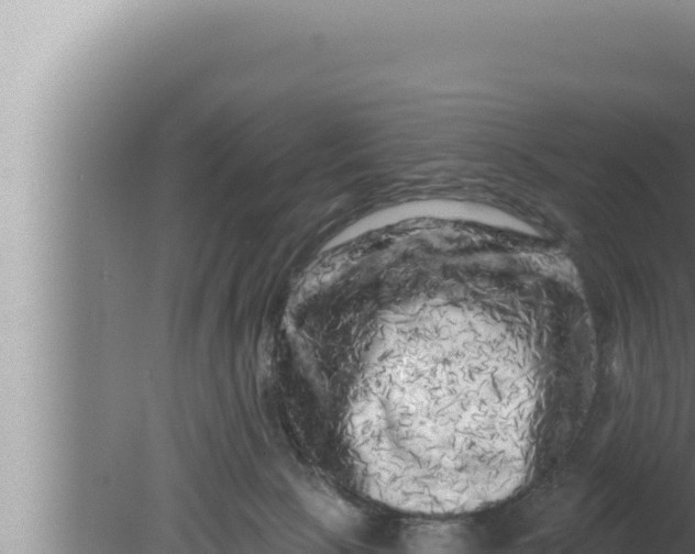 X0000080100081200612221750