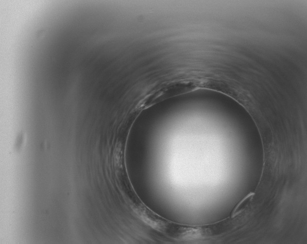 X0000080100083200612221750