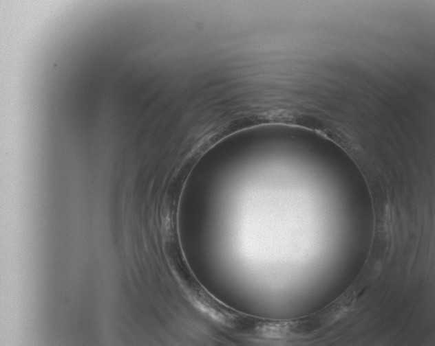 X0000080100084200612221750