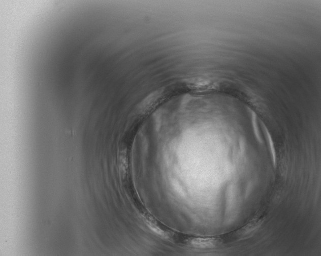 X0000080100085200612221750