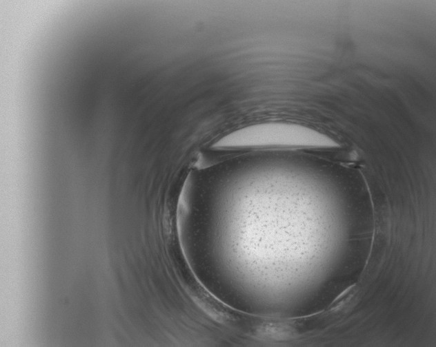 X0000080100086200612221750