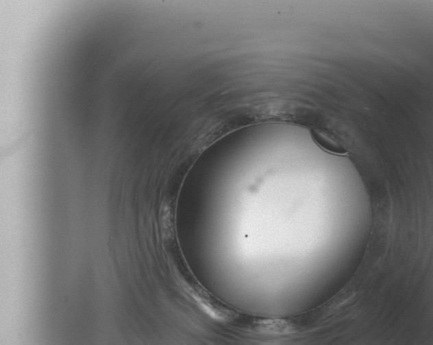 X0000080100087200612221750