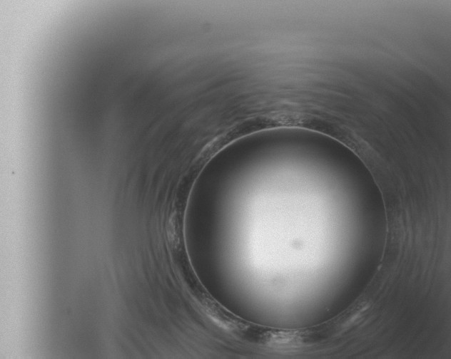 X0000080100088200612221750