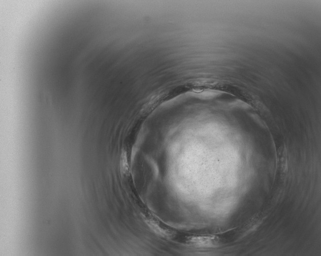 X0000080100089200612221750