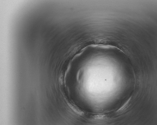 X0000080100090200612221750