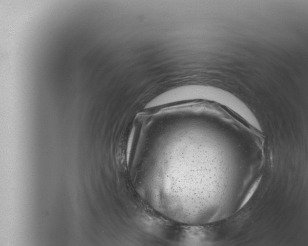 X0000080100091200612221750