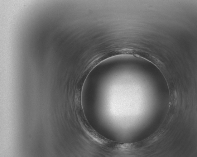 X0000080100092200612221750