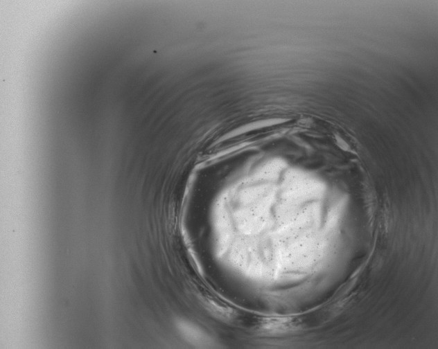 X0000080100093200612221750