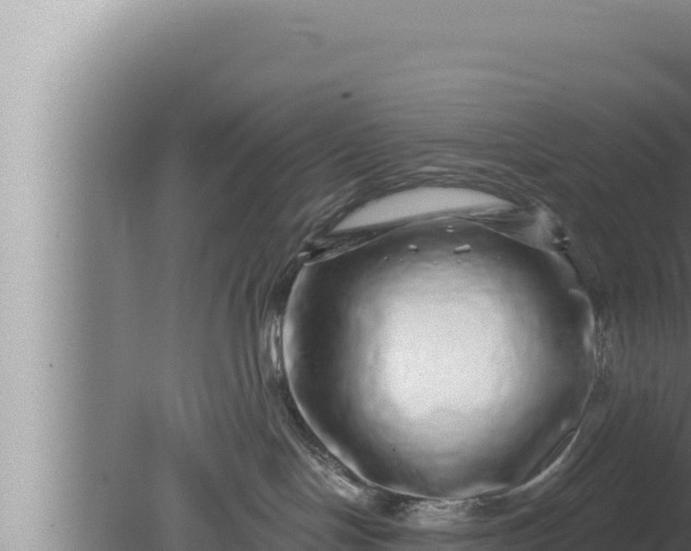 X0000080100094200612221750