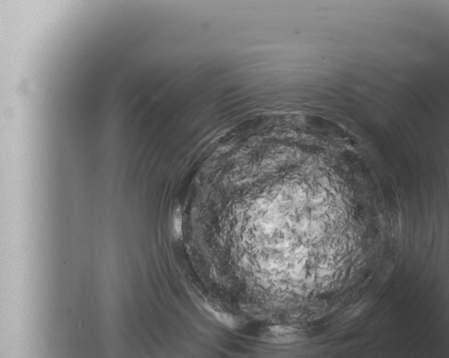 X0000080100095200612221750