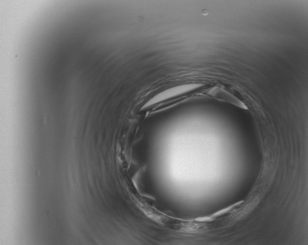 X0000080100096200612221750