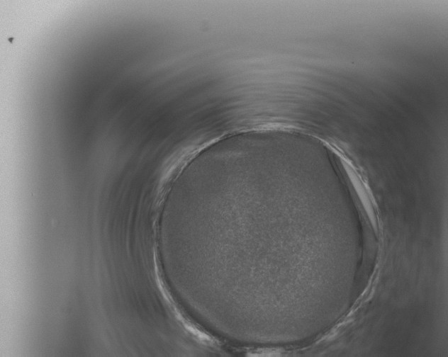 X0000080100097200612221749