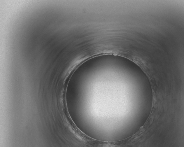 X0000080100098200612221749