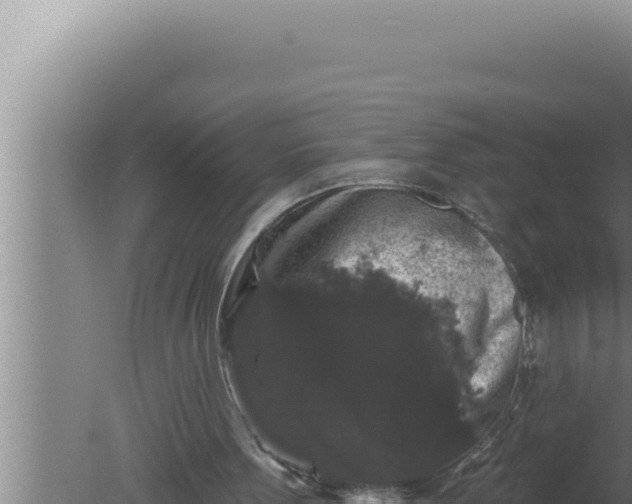 X0000080100099200612221749