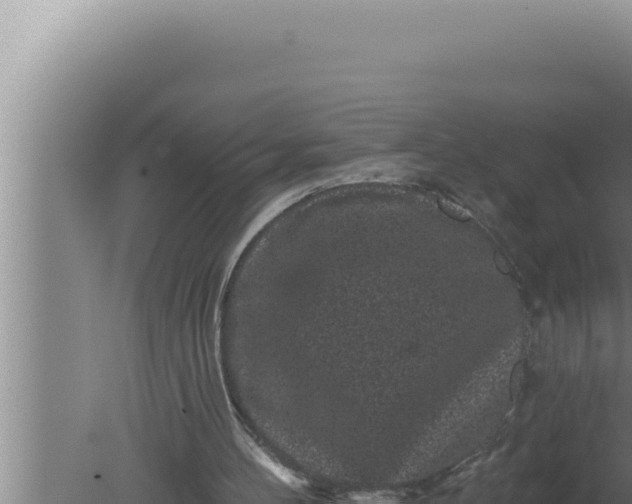 X0000080100100200612221749